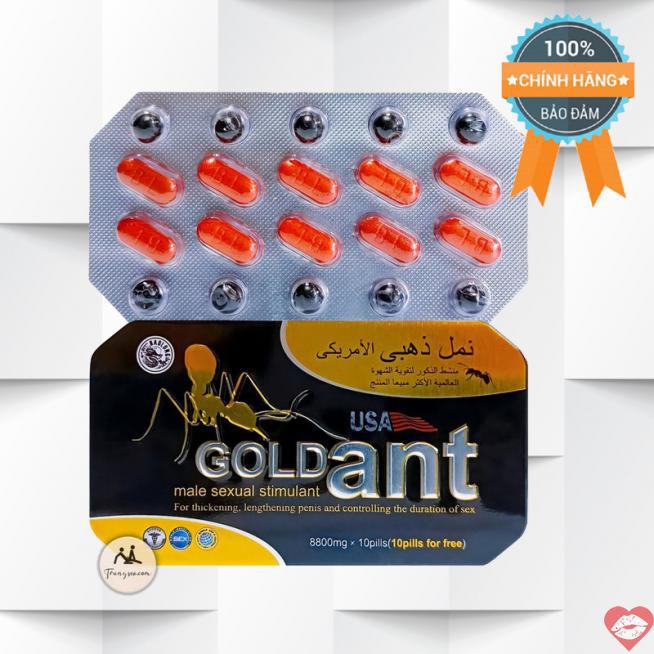 Đánh giá Gold Ant USA chính hãng cường dương kéo dài thời gian - Kiến Vàng Đen Tây Tạng hàng mới về 