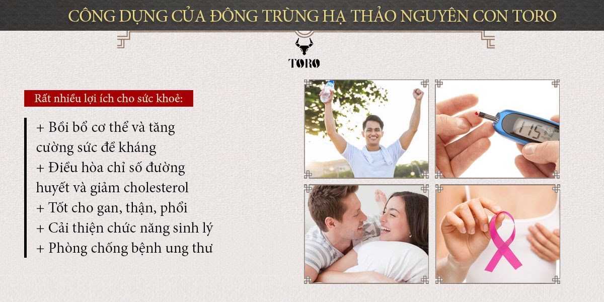 Kho sỉ Đông trùng hạ thảo cao cấp nguyên con - Tăng cường sinh lý bồi bổ cơ thể - 5g loại tốt Kho sỉ Đông trùng hạ thảo cao cấp nguyên con - Tăng cường sinh lý bồi bổ cơ thể - 5g loại tốt
