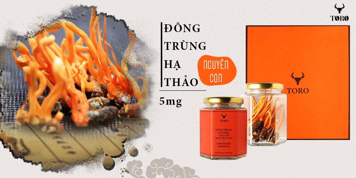 Kho sỉ Đông trùng hạ thảo cao cấp nguyên con - Tăng cường sinh lý bồi bổ cơ thể - 5g loại tốt Kho sỉ Đông trùng hạ thảo cao cấp nguyên con - Tăng cường sinh lý bồi bổ cơ thể - 5g loại tốt