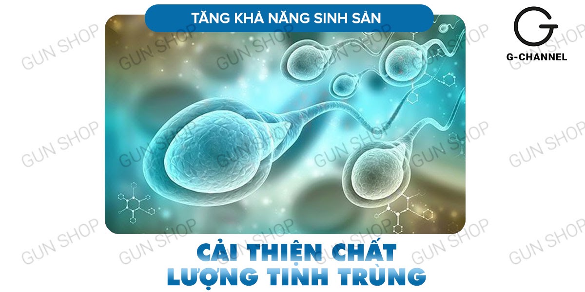 Thông tin Viên uống hỗ trợ cương dương tăng cường sinh lý Maxman - Hộp 10 viên chính hãng Thông tin Viên uống hỗ trợ cương dương tăng cường sinh lý Maxman - Hộp 10 viên chính hãng