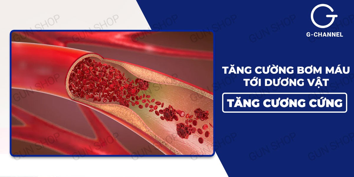 Thông tin Viên uống hỗ trợ cương dương tăng cường sinh lý Majegra - Hộp 4 viên giá rẻ Thông tin Viên uống hỗ trợ cương dương tăng cường sinh lý Majegra - Hộp 4 viên giá rẻ